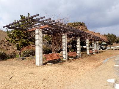 長田海浜公園の藤棚
