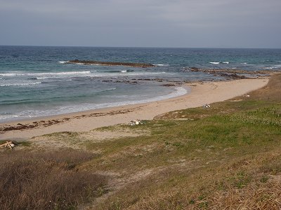 小田大浜キャンプ前の海