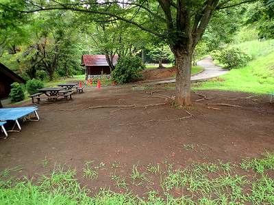 堂の山青少年キャンプ場のサイト全景
