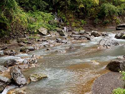 大柳川渓流公園の脇を流れる大柳川